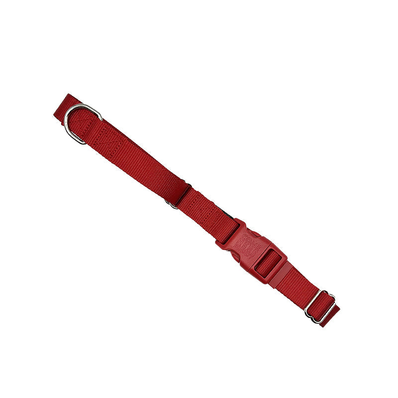 Come Here Buddy Martingale Dog Collar