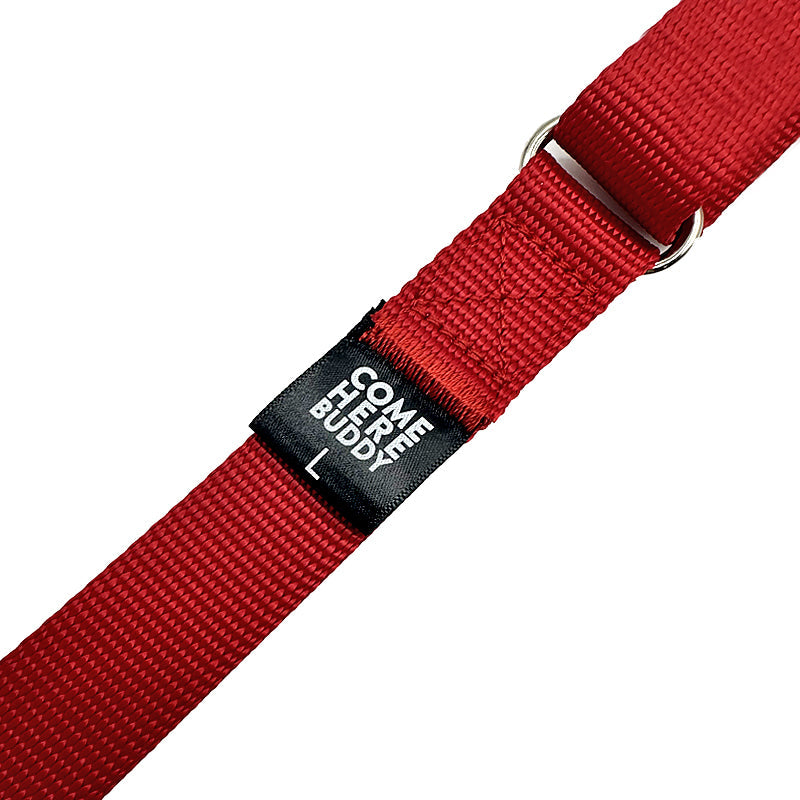 Come Here Buddy Martingale Dog Collar