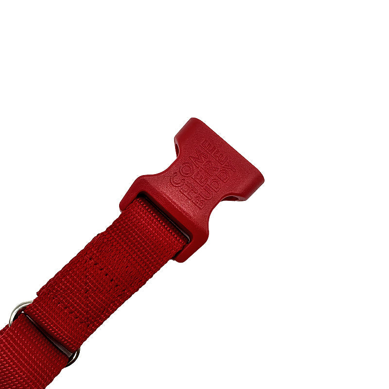 Come Here Buddy Martingale Dog Collar