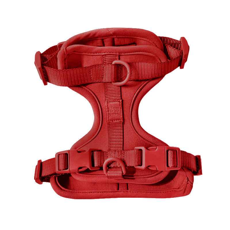 Come Here Buddy Harness
