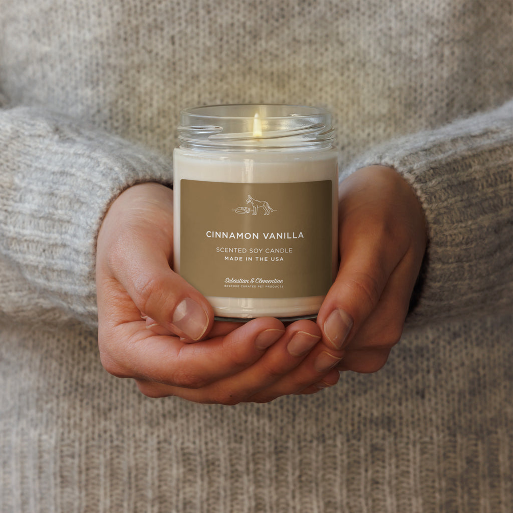 Sebastian & Clementine Scented Soy Candle - Cinnamon Vanilla