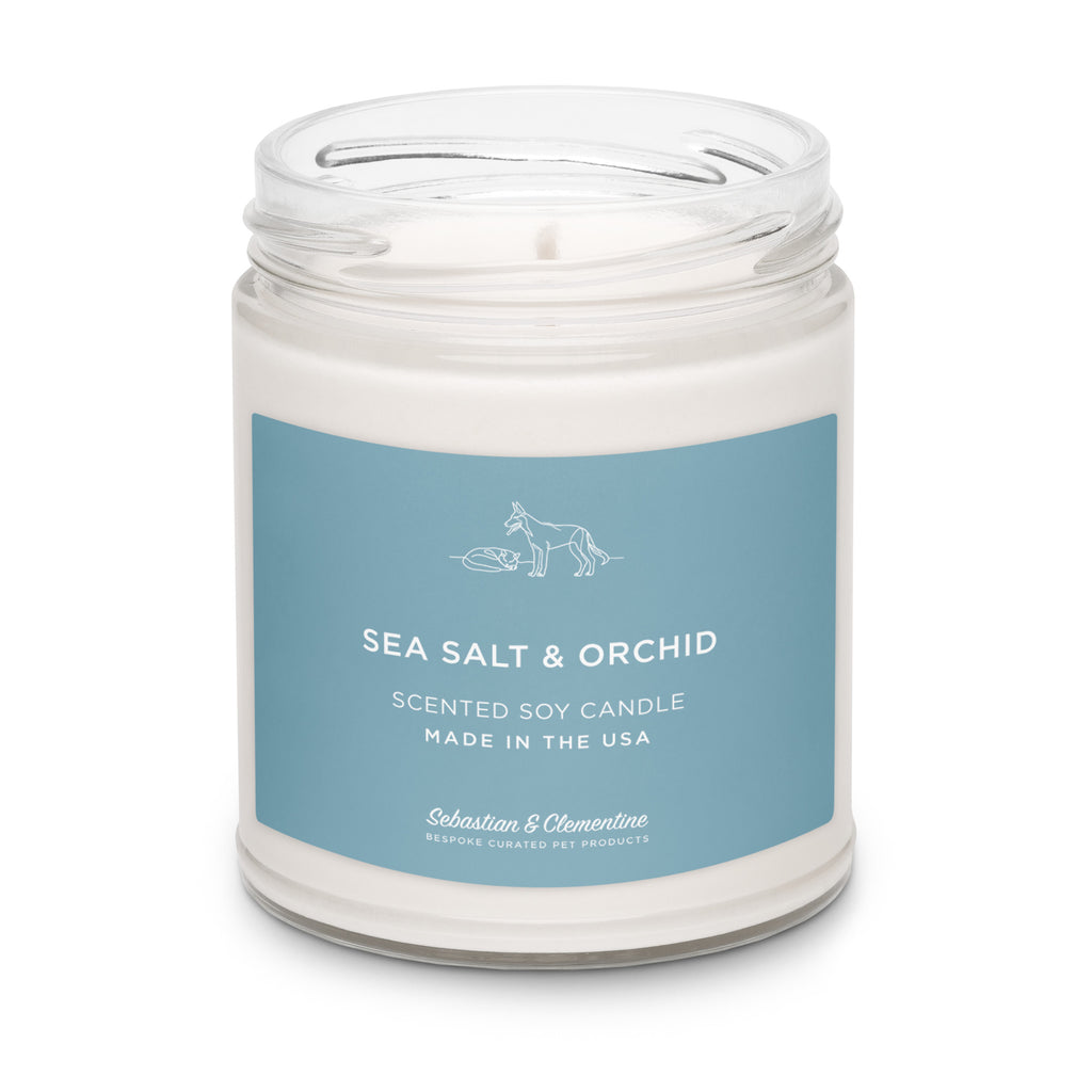 Sebastian & Clementine Scented Soy Candle - Sea Salt & Orchid