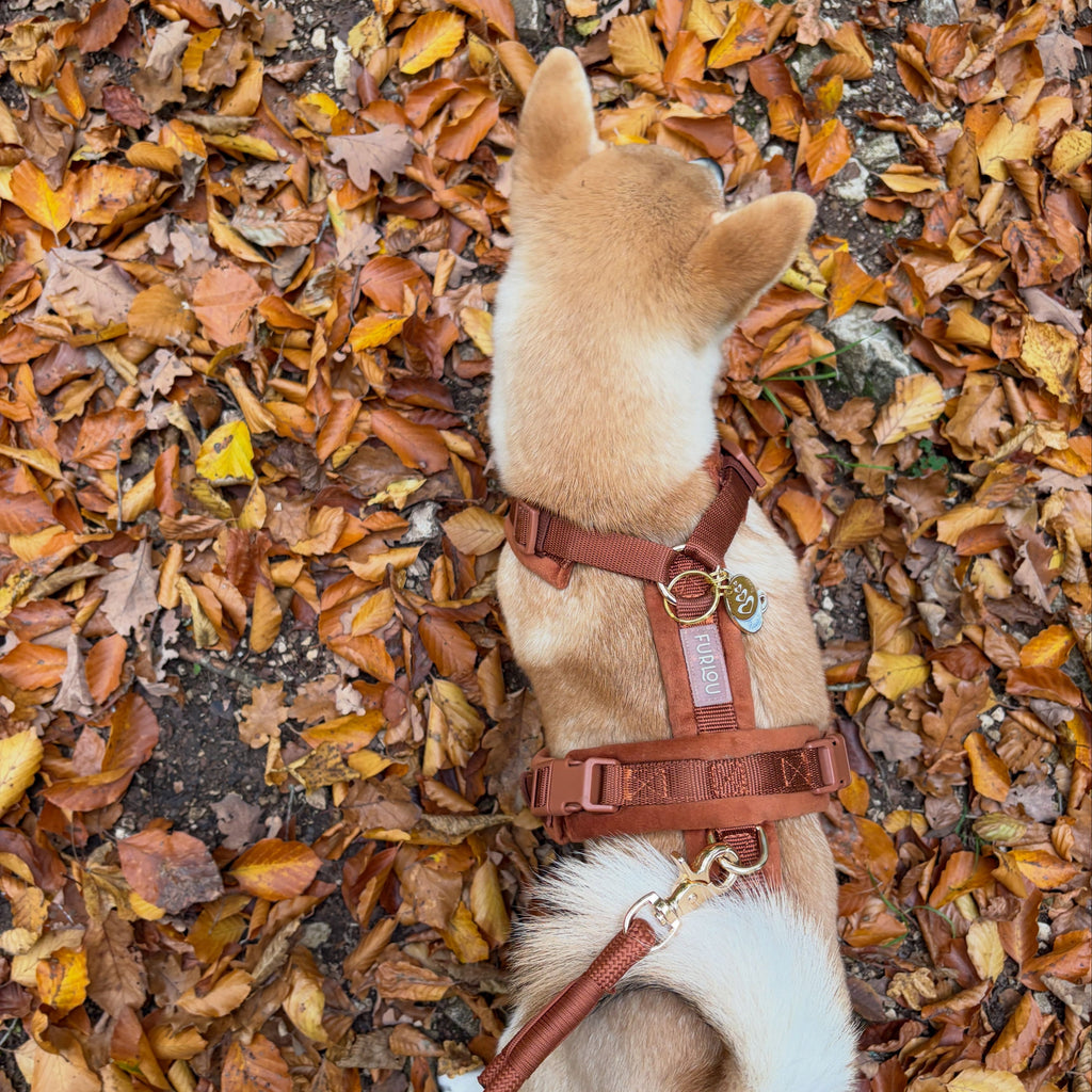 FurLou Clay Velvet Dog Harness