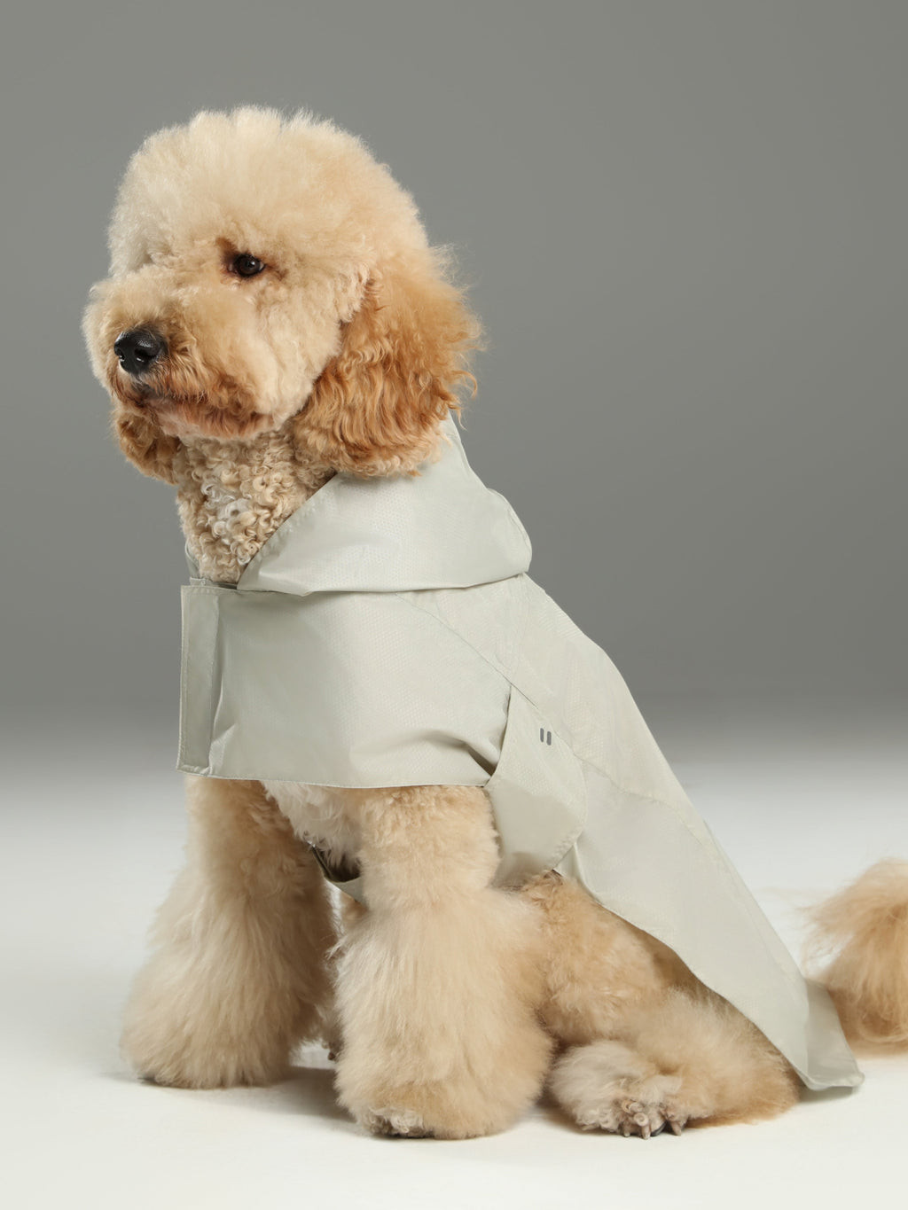 Pehom | Capsule Raincoat - Beige