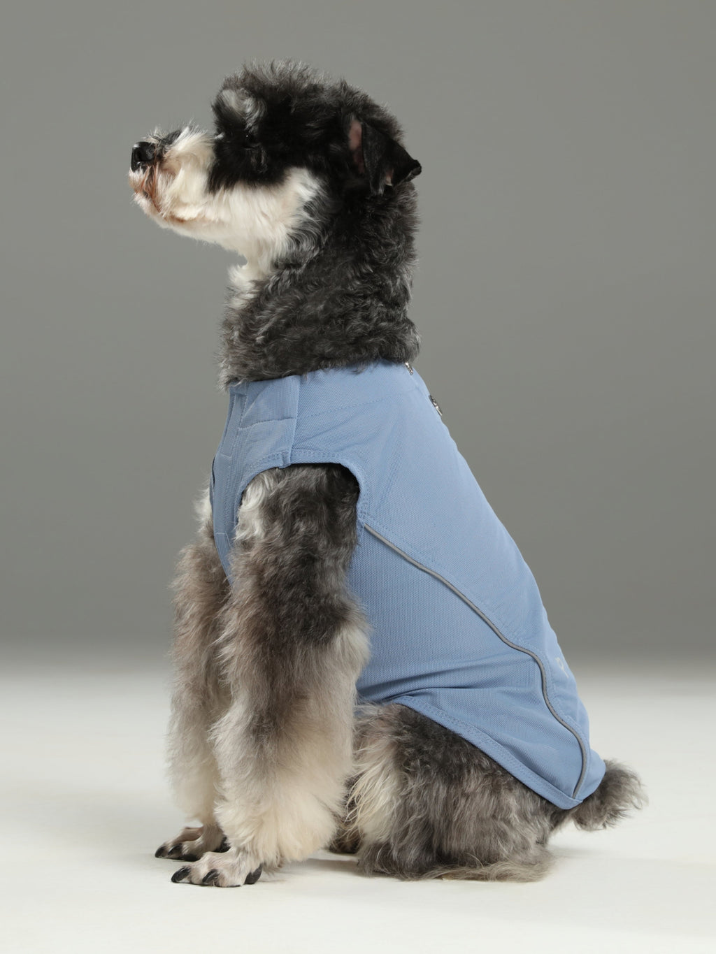 Pehom | Chill Vest Shirt - Blue