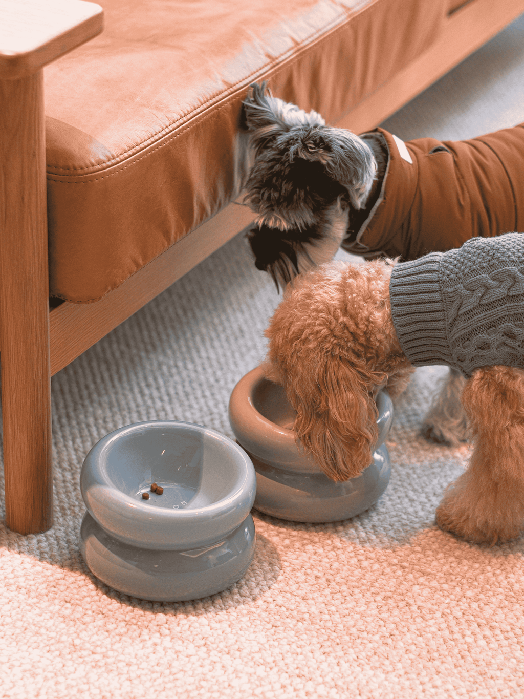 Pehom | Soufflé Pet Bowl - Frozen Blue