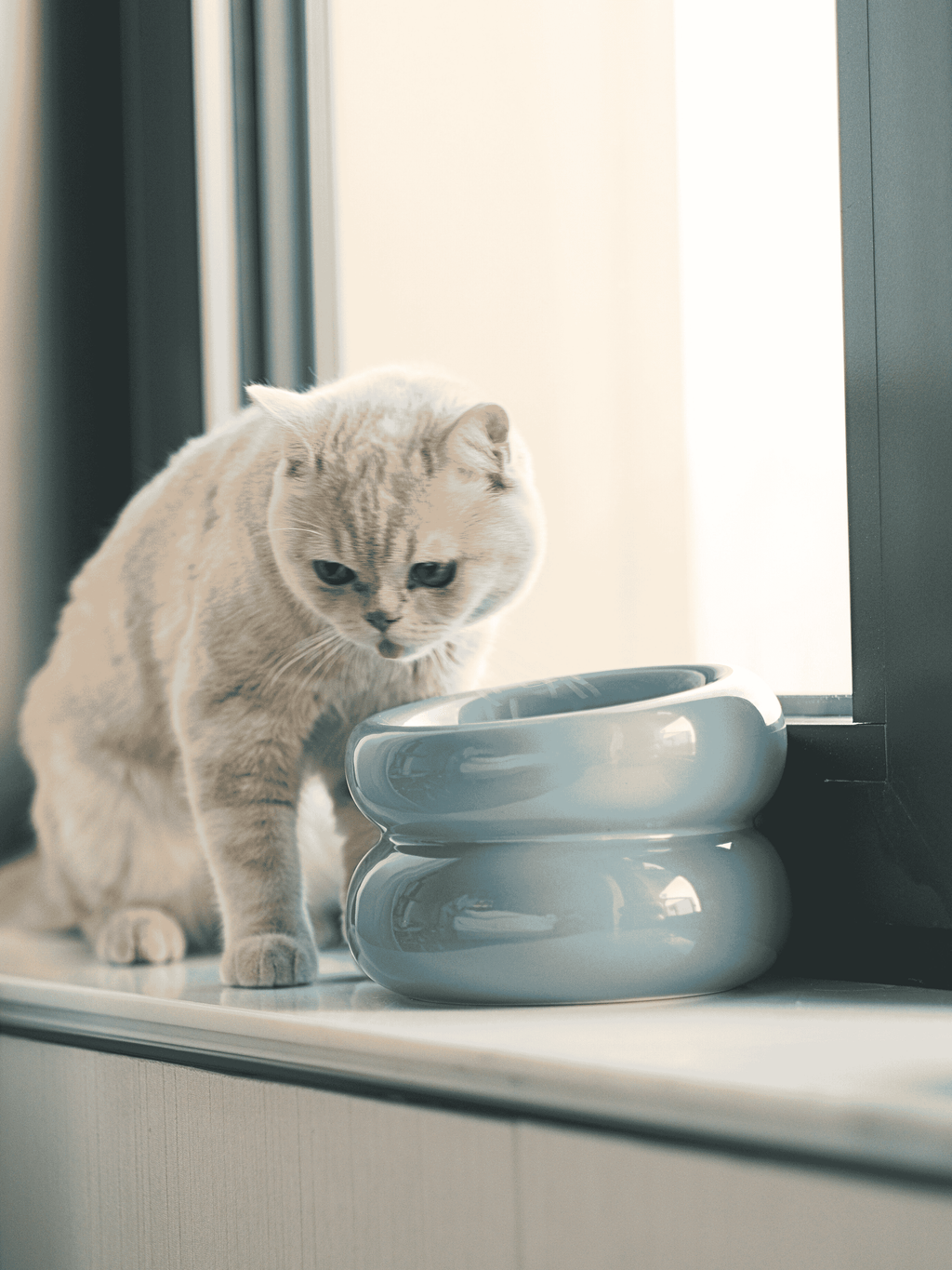 Pehom | Soufflé Pet Bowl - Frozen Blue