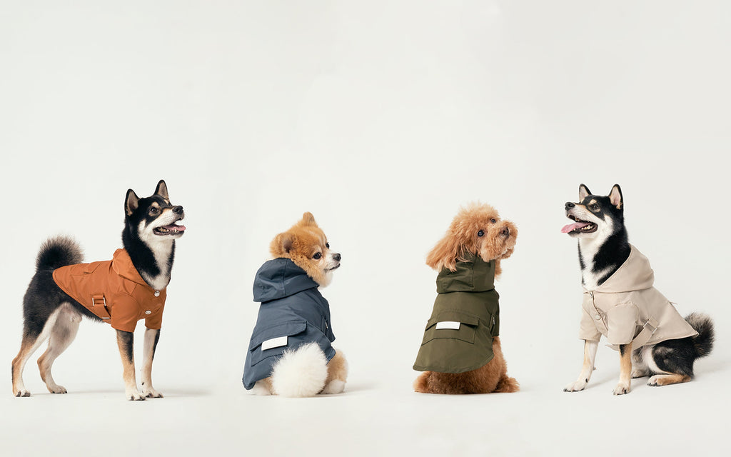 Pehom | Bowery Raincoat - Green