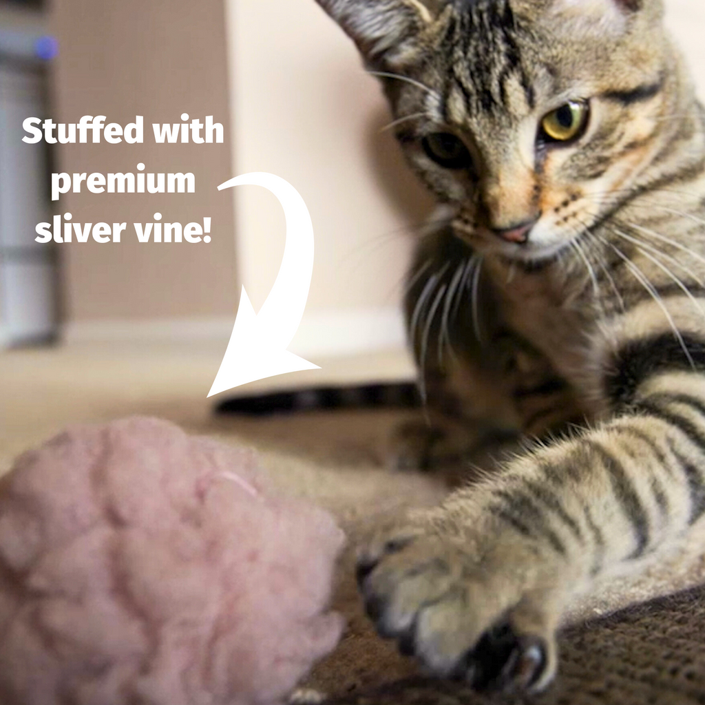 Cat playing with a brain-shaped toy, text 'Stuffed with premium sliver vine!'