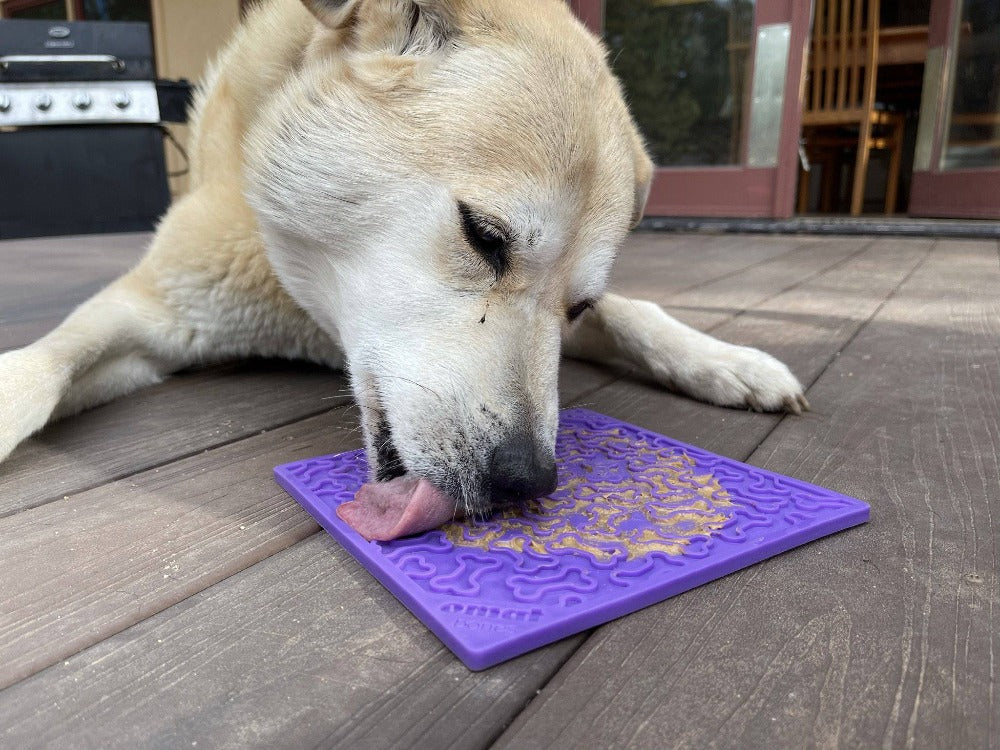 SodaPup® Bones eMat - Enrichment Lick Mat for Dogs and Cats