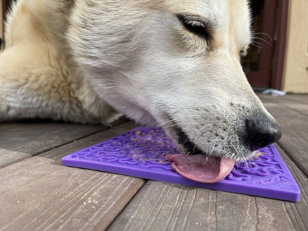 SodaPup® Bones eMat - Enrichment Lick Mat for Dogs and Cats