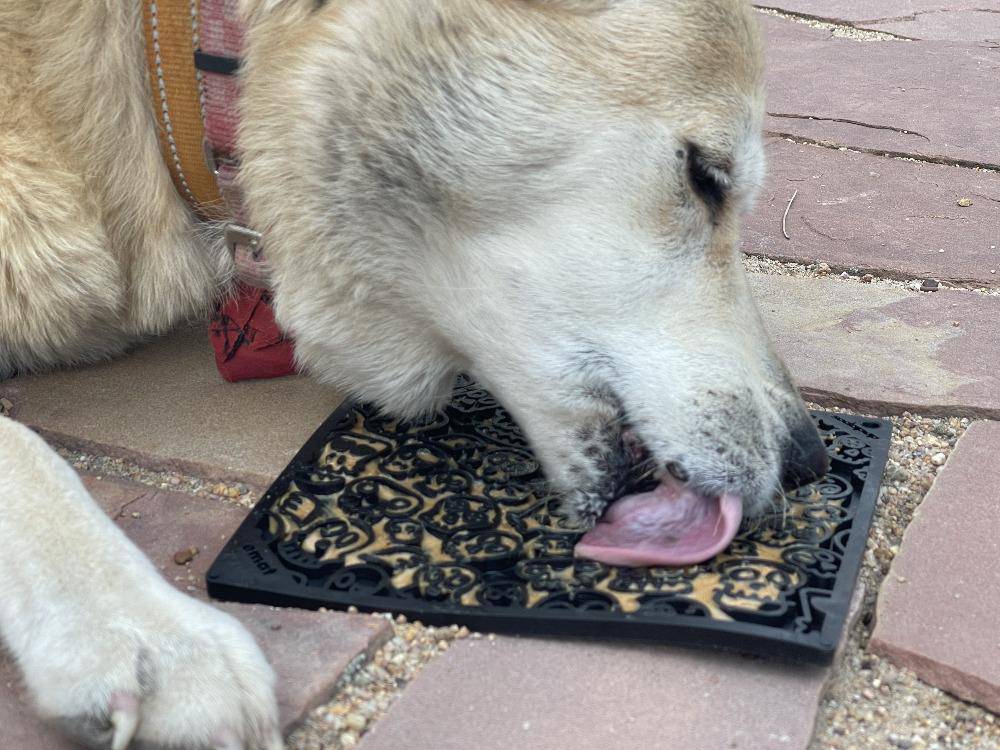 SodaPup® Zombie eMat - Enrichment Lick Mat for Dogs and Cats | Halloween Skull Design