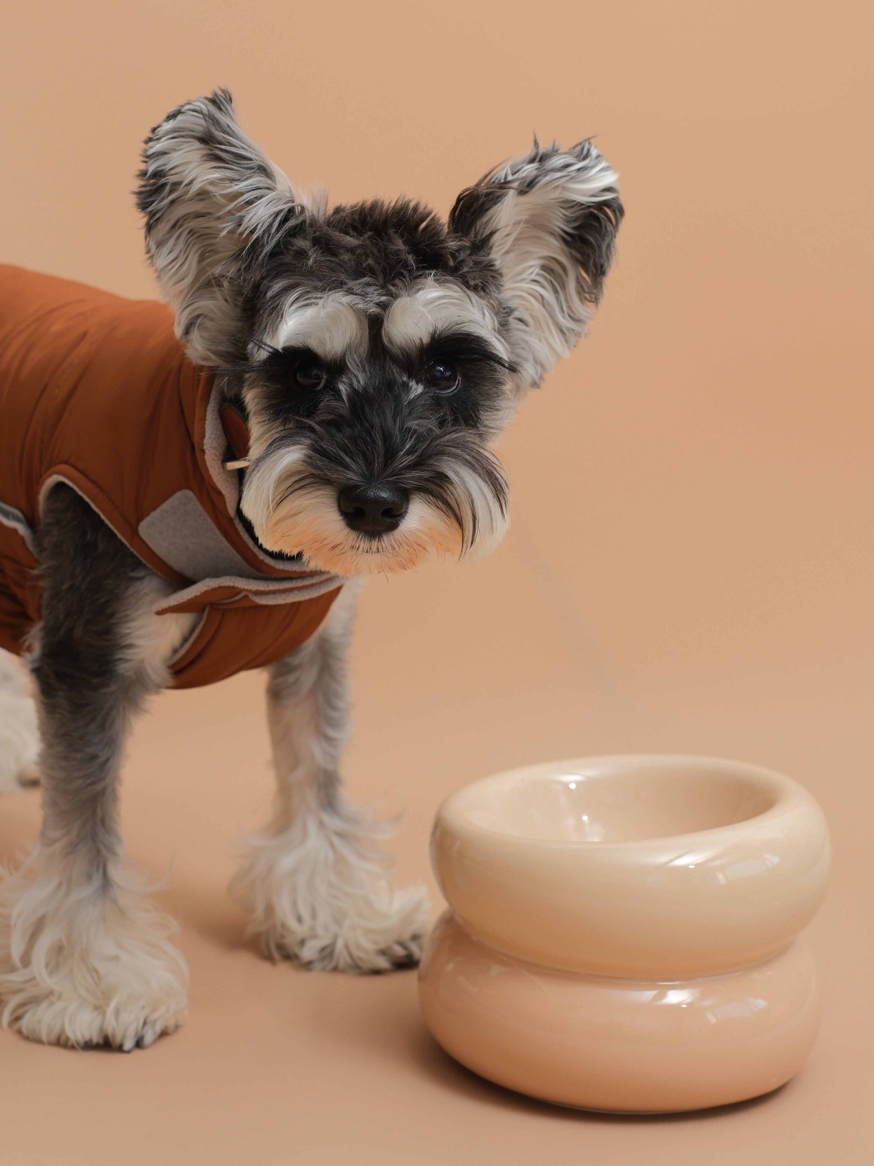 Pehom | Soufflé Pet Bowl - Cream Beige