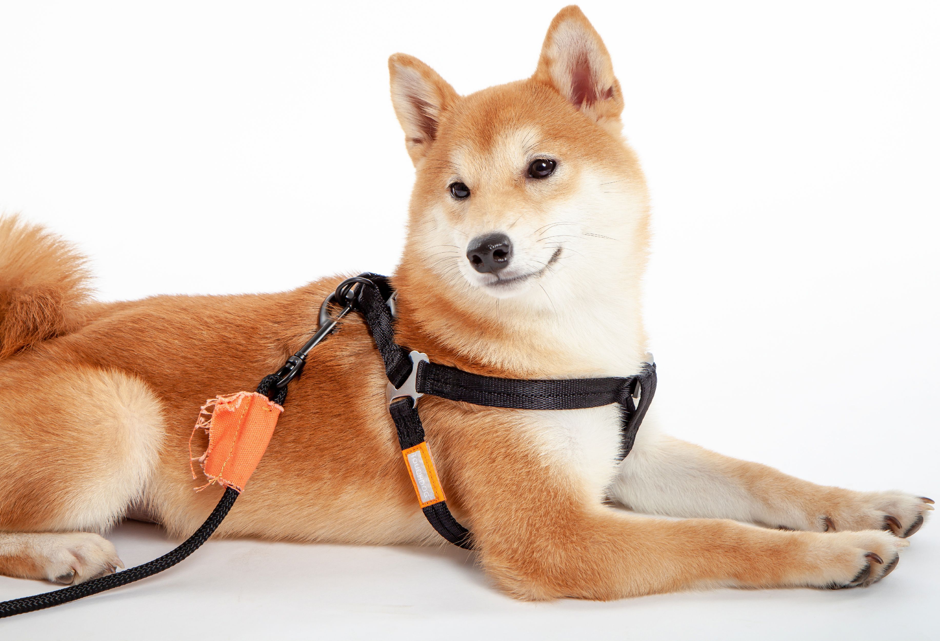 Touchdog® 'Macaron' 2-in-1 Durable Nylon Dog Harness and Leash