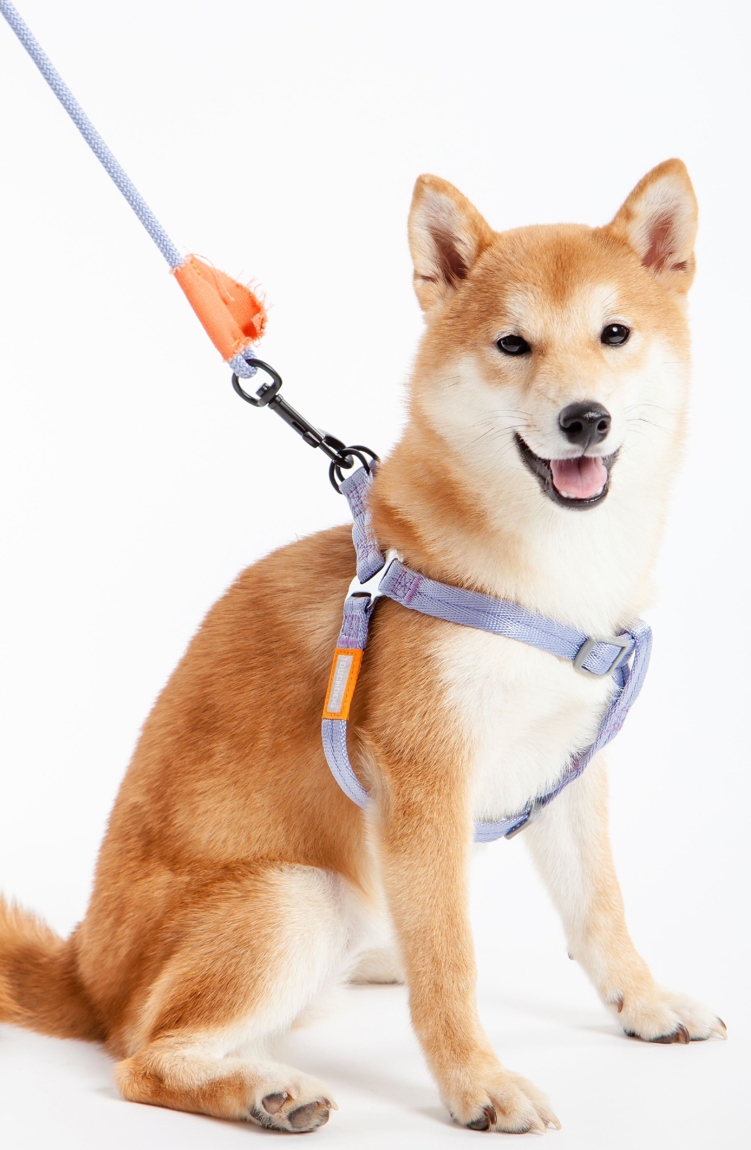 Touchdog® 'Macaron' 2-in-1 Durable Nylon Dog Harness and Leash