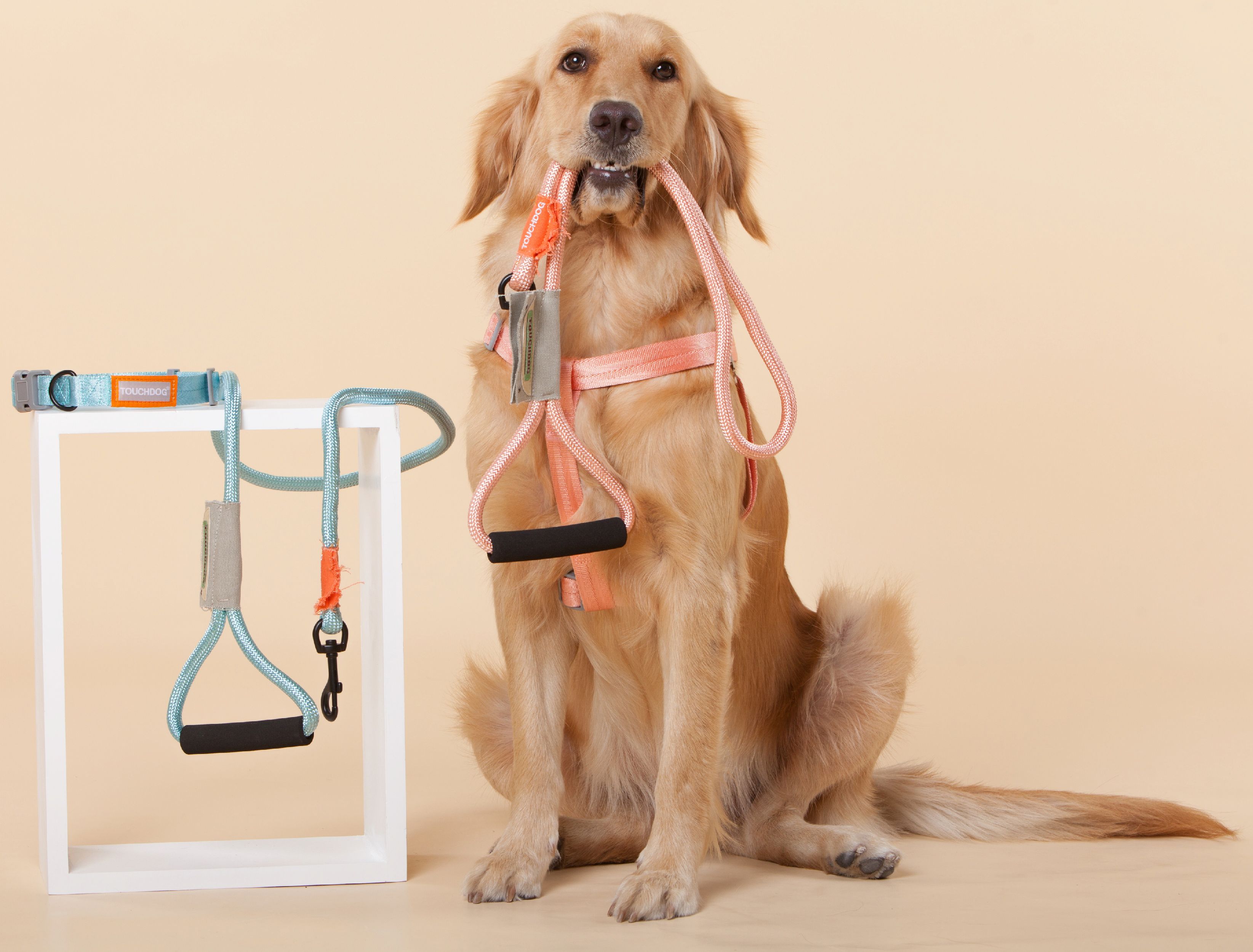 Touchdog® 'Macaron' 2-in-1 Durable Nylon Dog Harness and Leash