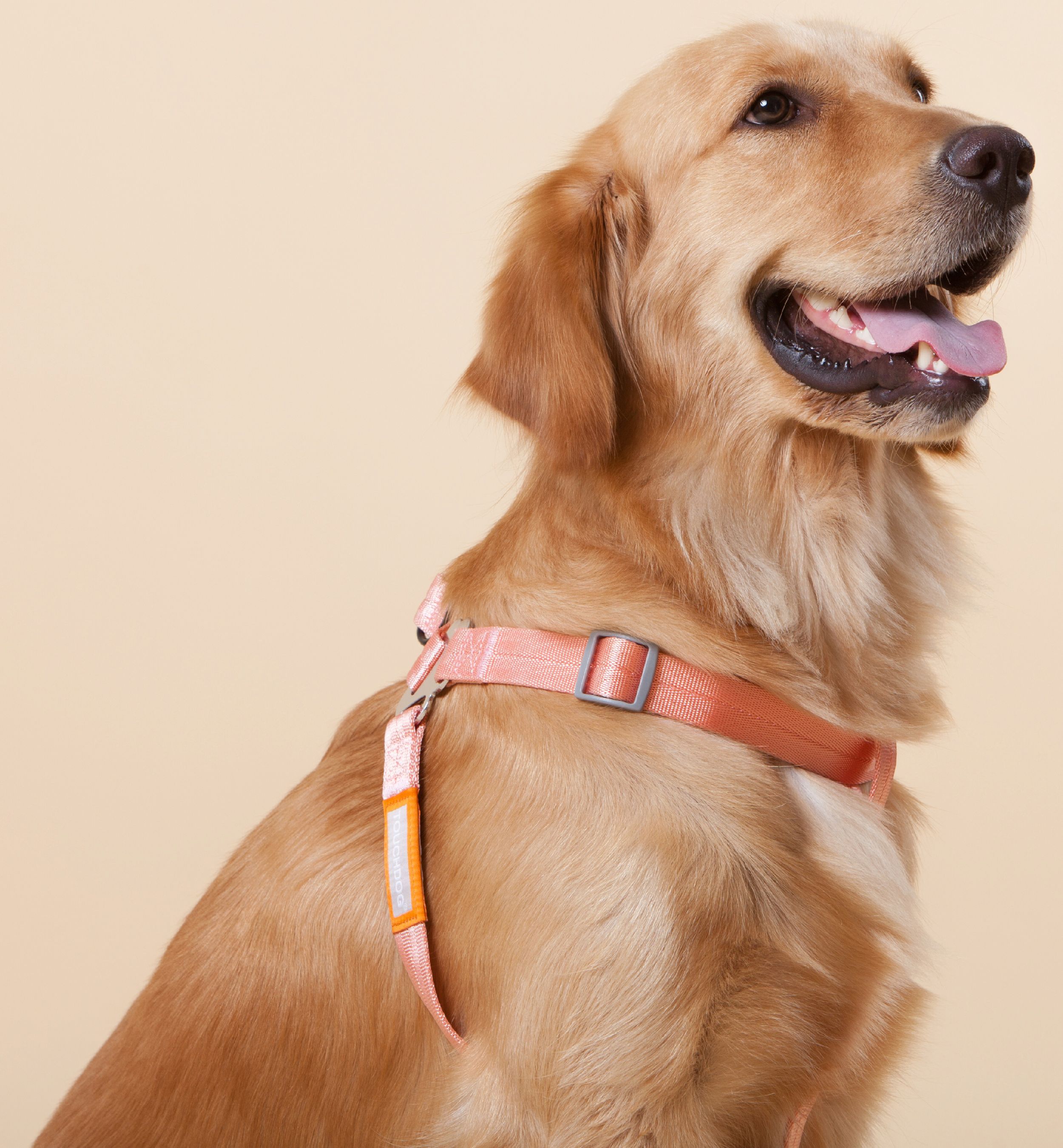 Touchdog® 'Macaron' 2-in-1 Durable Nylon Dog Harness and Leash