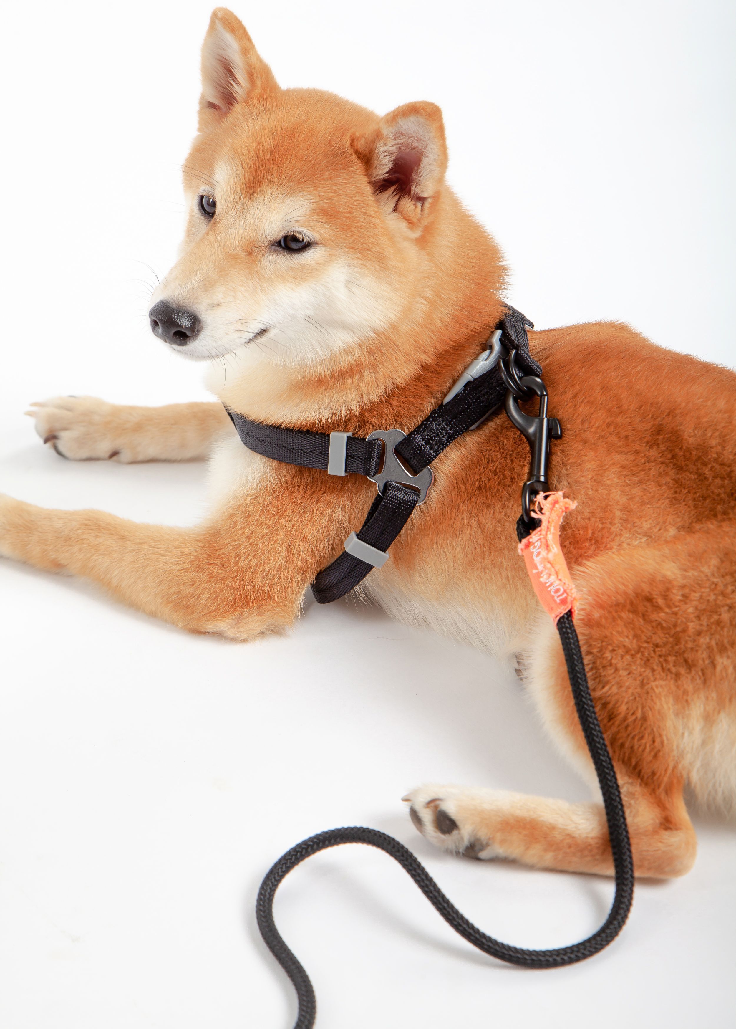 Touchdog® 'Macaron' 2-in-1 Durable Nylon Dog Harness and Leash