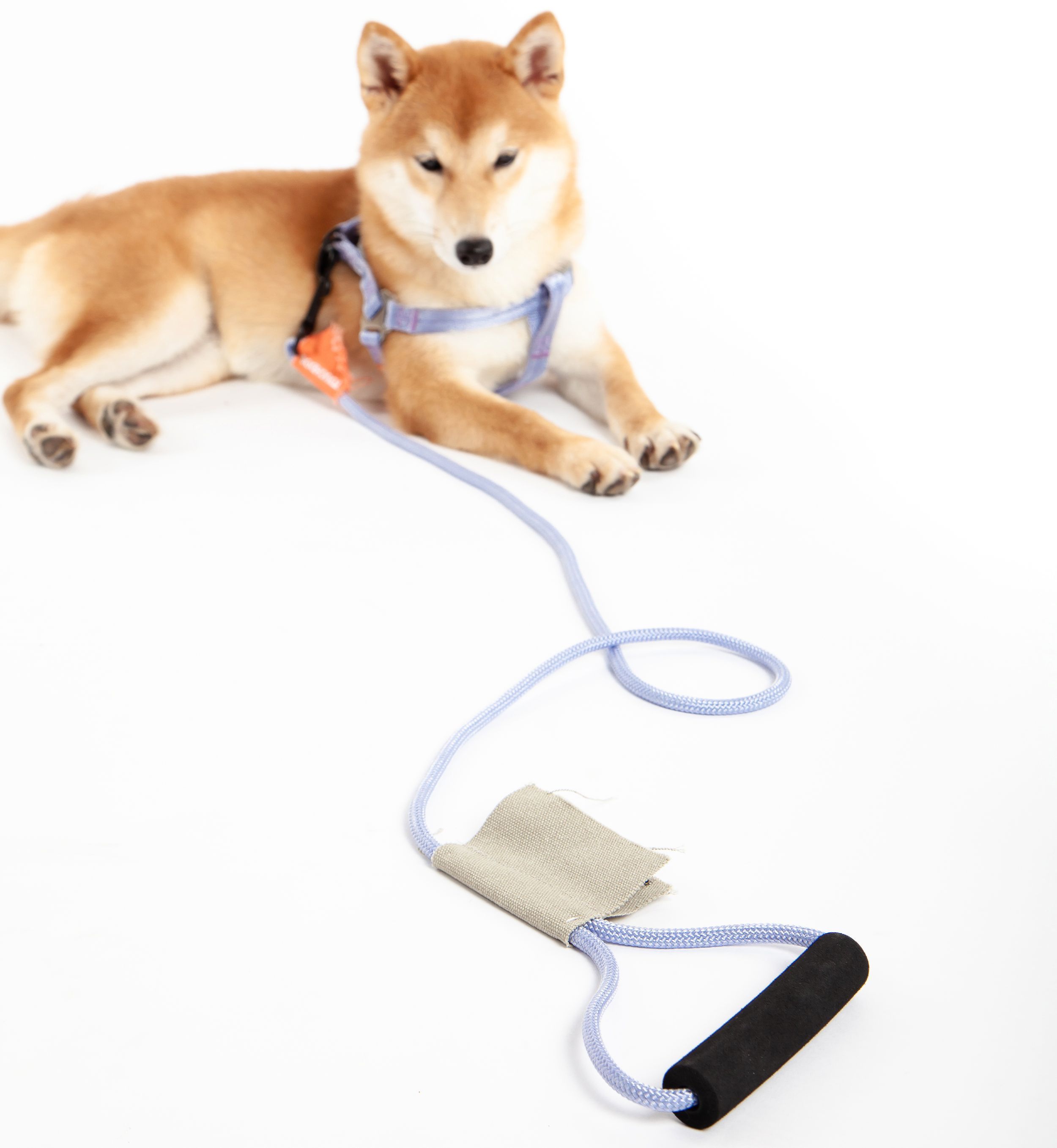Touchdog® 'Macaron' 2-in-1 Durable Nylon Dog Harness and Leash