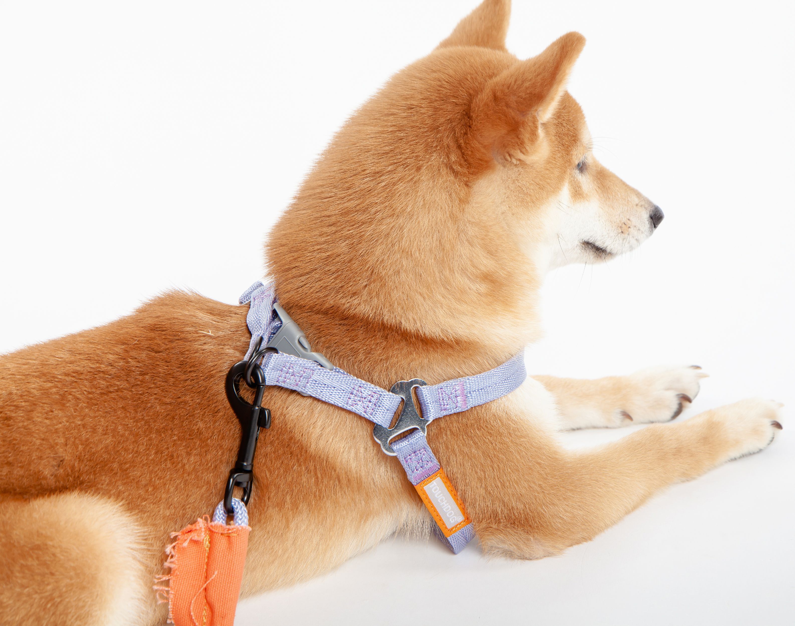 Touchdog® 'Macaron' 2-in-1 Durable Nylon Dog Harness and Leash