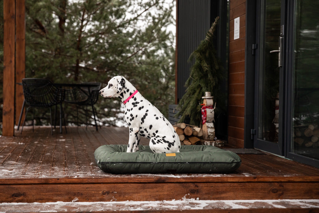 Chester & Lee | Waterproof Lounger Dog Bed Green