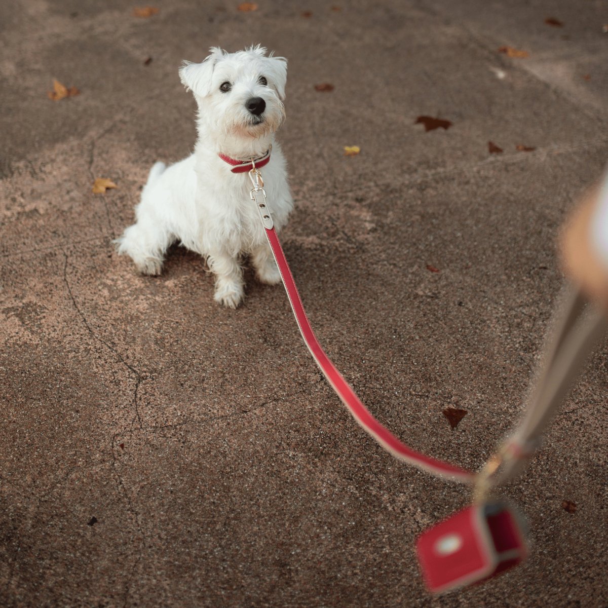 Nina Woof Waste Bag Holder - Vegan Leather - Bag Dispenser