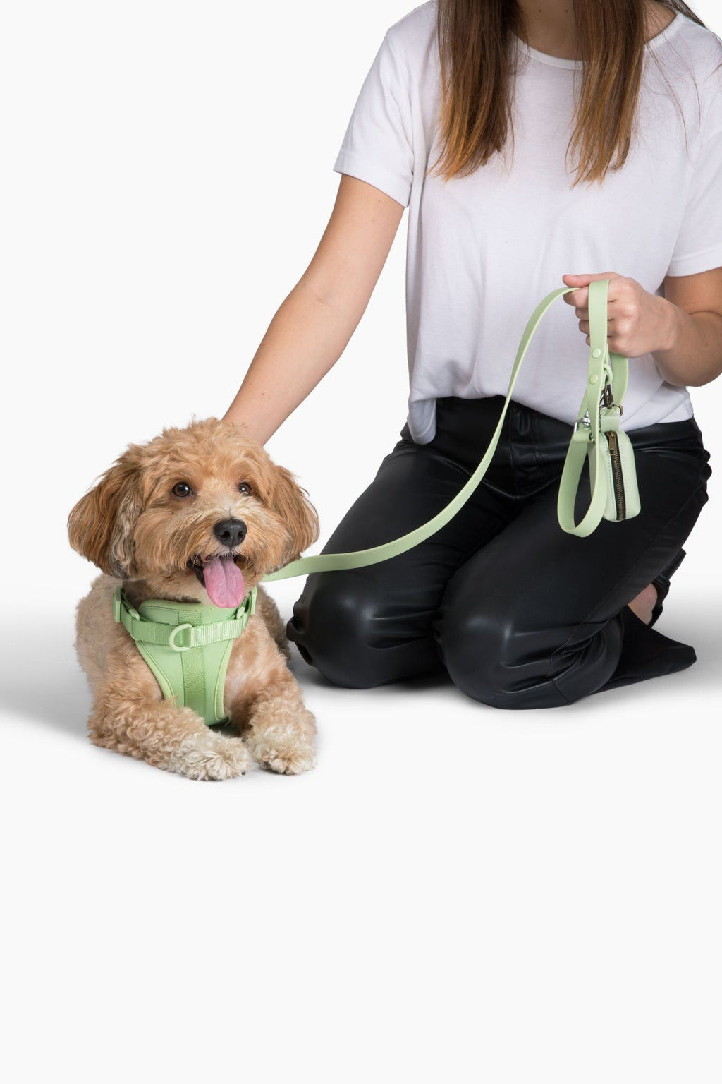 Come Here Buddy Harness